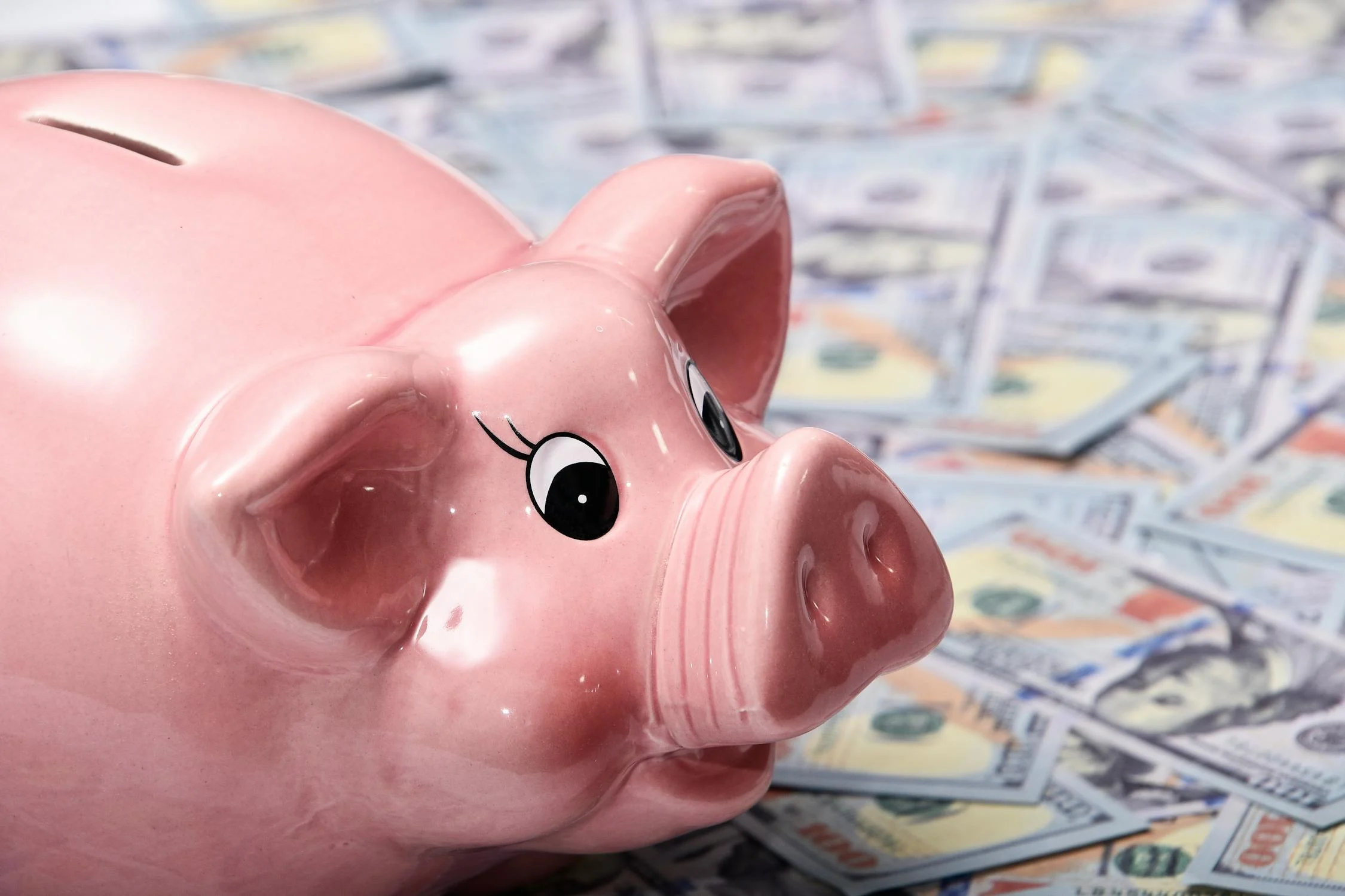 close up photo of pink piggy bank used for savings